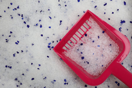 Silica gel cat litter with plastic scoop, top viewの写真素材