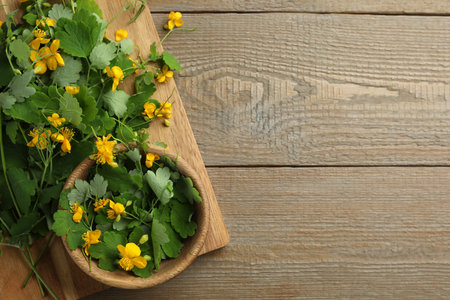 Celandine with beautiful yellow flowers on wooden table, top view. Space for textの写真素材