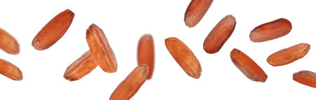 Many brown rice falling on white background, banner design. Vegan dietの写真素材