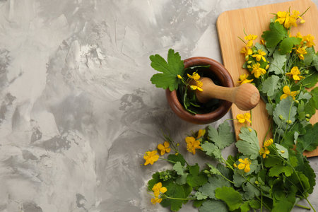 Celandine with mortar and pestle on gray table, flat lay. Space for textの写真素材
