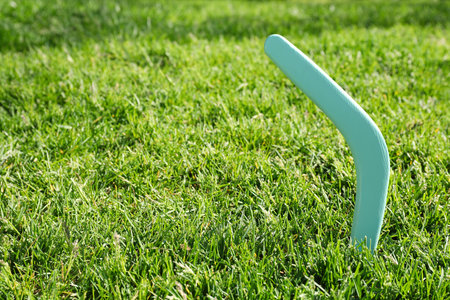 Turquoise wooden boomerang in green grass outdoors, space for textの写真素材