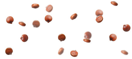 Many quinoa seeds falling on white background, banner design. Vegan dietの写真素材