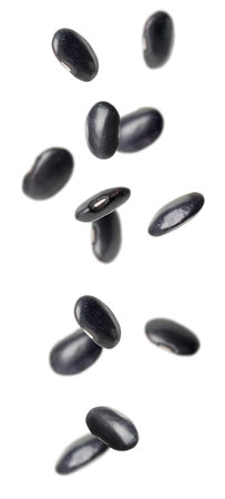 Many black beans falling on white background, vertical banner design. Vegan dietの写真素材