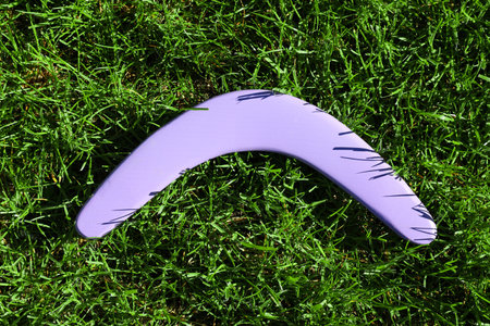 Violet wooden boomerang on green grass outdoors, above viewの写真素材