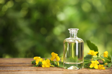 Bottle of natural celandine oil near flowers on wooden table outdoors, space for textの写真素材
