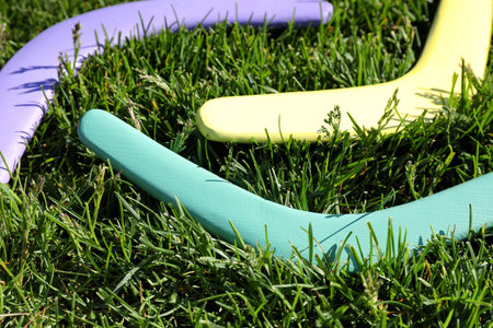 Turquoise, yellow and violet wooden boomerangs on green grass outdoors, closeupの写真素材