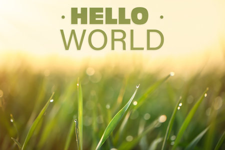 hello world. Green grass with dew drops on spring morning, closeupの写真素材