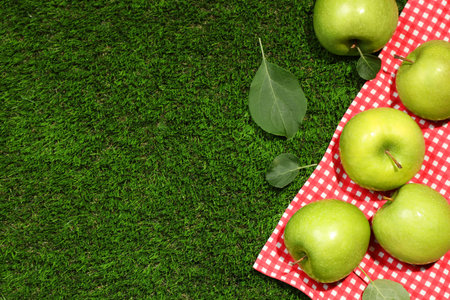 Ripe green apples with leaves and picnic blanket on grass, flat lay. Space for textの写真素材