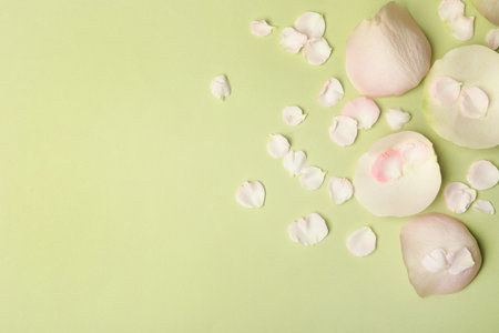 Beautiful petals on green background, flat lay. Space for textの写真素材
