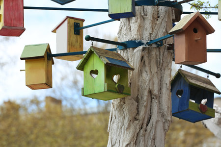 Lots of colorful wooden bird houses on tree outdoorsの写真素材