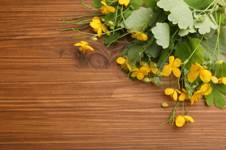 Celandine with yellow flowers and green leaves on wooden table, flat lay. Space for textの写真素材