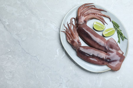 Fresh raw squids with lime and rosemary on light marble table, top view. Space for text
