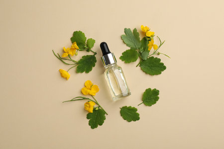 Bottle of natural celandine oil and flowers on beige background, flat layの写真素材