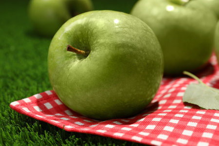 Ripe green apple and picnic blanket on grass, closeupの写真素材