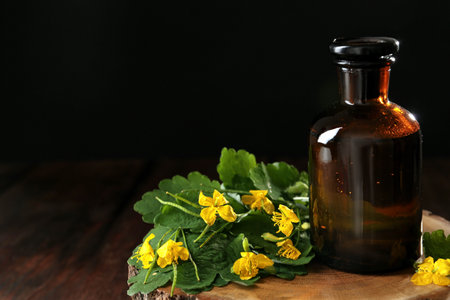 Bottle of celandine tincture and plant on stump, space for textの写真素材