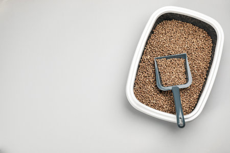 Cat litter tray with filler and scoop on light background, top view. Space for textの写真素材