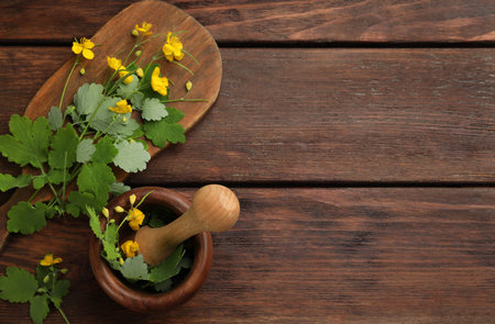 Celandine with mortar, pestle and board on wooden table, flat lay. Space for textの写真素材