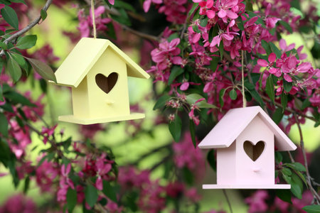 Wooden bird houses on blossoming tree outdoorsの写真素材