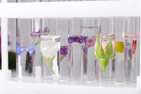 Test tubes with different flowers, closeup. essential oil extractionの写真素材