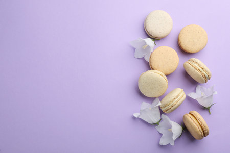 Delicious macarons and white bellflowers on violet background, flat lay. Space for textの写真素材