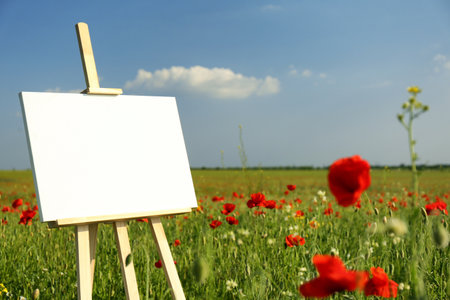 Wooden easel with blank canvas in poppy field on sunny dayの写真素材