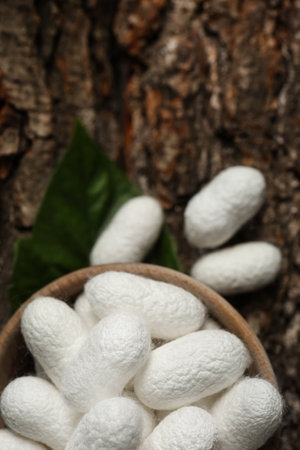 White silk cocoons with wooden bowl and mulberry leaf on tree bark, top viewの写真素材