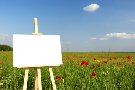 Wooden easel with blank canvas in poppy field on sunny dayの写真素材