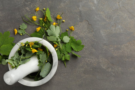 Celandine with mortar and pestle on gray stone table, flat lay. Space for textの写真素材