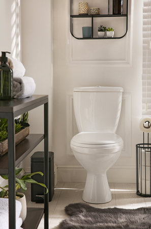Modern toilet bowl in comfortable restroom. interior designの写真素材