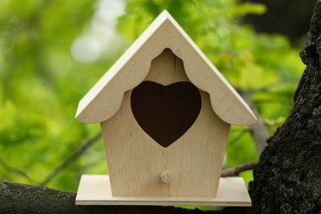 Wooden bird house on tree branch outdoorsの写真素材