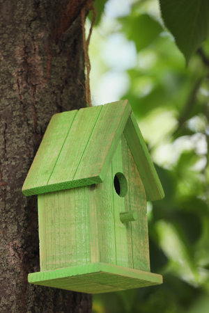Green bird house on tree trunk outdoorsの写真素材