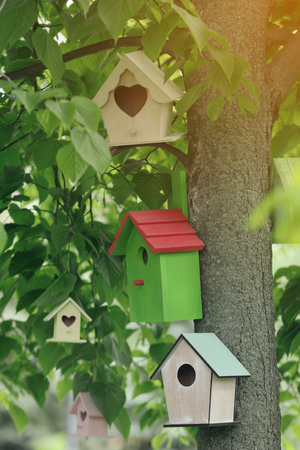 Different colorful bird houses on tree outdoorsの写真素材