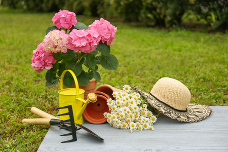 Beautiful blooming plants, gardening tools and accessories on green grass outdoorsの写真素材