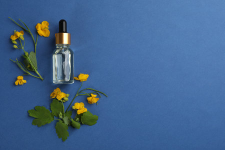 Bottle of natural celandine oil and flowers on blue background, flat lay. Space for textの写真素材