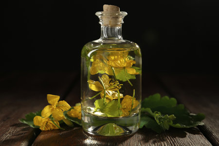 Bottle of celandine tincture and plant on wooden tableの写真素材