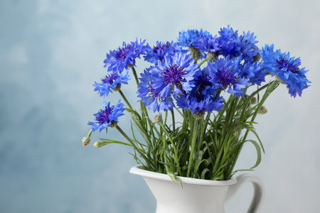 Bouquet of beautiful cornflowers in vase against light blue background, closeupの写真素材
