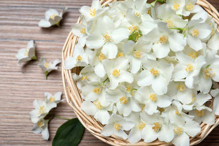 Wicker bowl with beautiful jasmine flowers on wooden table, top view