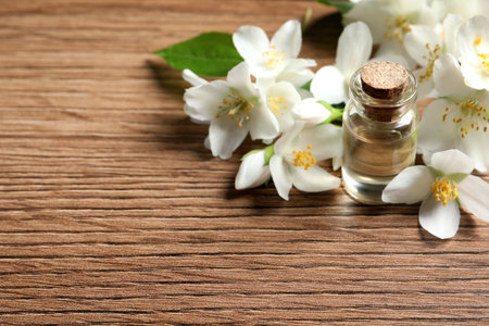 Jasmine essential oil and fresh flowers on wooden table, space for textの写真素材