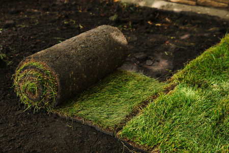 Rolled grass sod on ground in gardenの写真素材