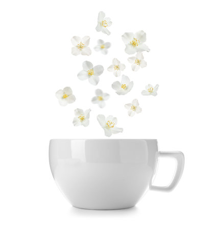 Beautiful jasmine flowers falling into cup of hot freshly brewed tea on white backgroundの写真素材