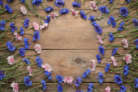 Frame of beautiful colorful cornflowers on wooden background, flat lay. Space for textの写真素材