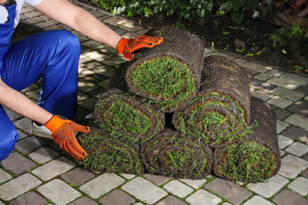 Gardener with grass sod rolls on backyard, closeupの写真素材