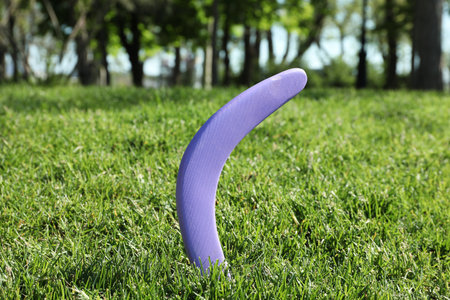 Violet wooden boomerang in green grass outdoorsの写真素材