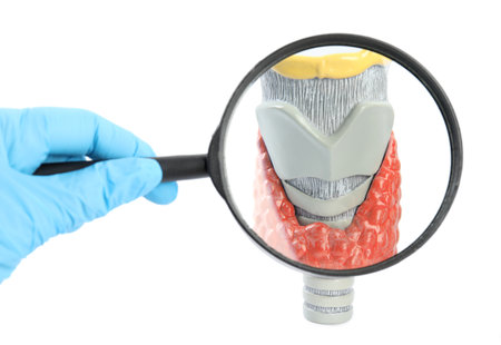 Doctor with magnifying glass looking at plastic model of affected thyroid on white background,...