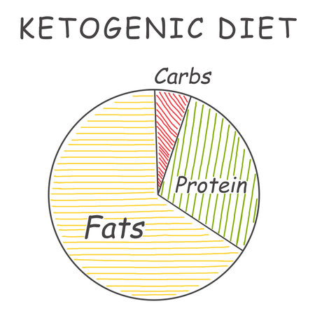 Food chart on white background, illustration. Keto dietの写真素材