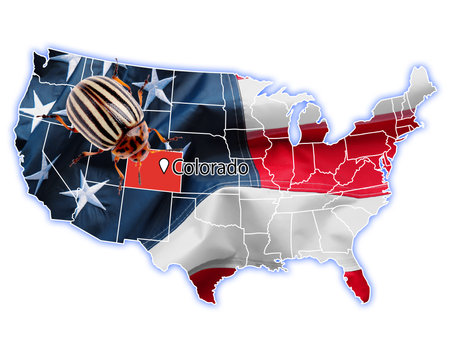 USA map with marked state of Colorado and potato beetle on white backgroundの写真素材