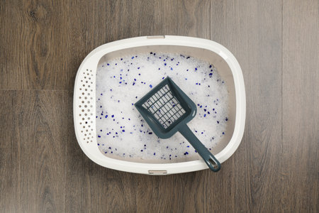 Cat litter tray with filler and scoop on wooden floor, top viewの写真素材