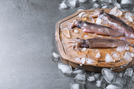 Fresh raw squids with ice on black table, space for textの写真素材