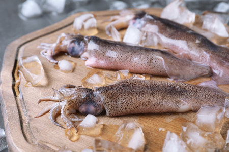 Fresh raw squids with ice on table, closeupの写真素材