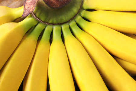 Bunch of tasty ripe baby bananas as background, closeupの写真素材